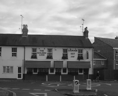 The Golden Lion